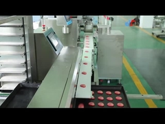 Sliced Cookies Encrusting Machinery 100g Biscuit Manufacturing Machine