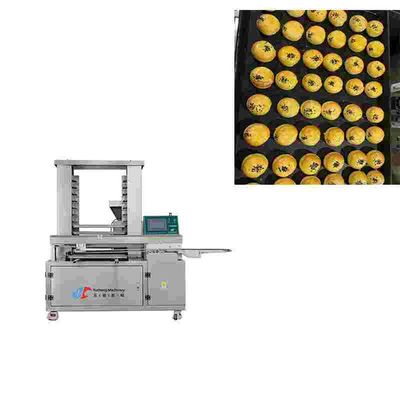 2kw Food Molding Machine 150Pcs/M Yucheng Food Process Equipment